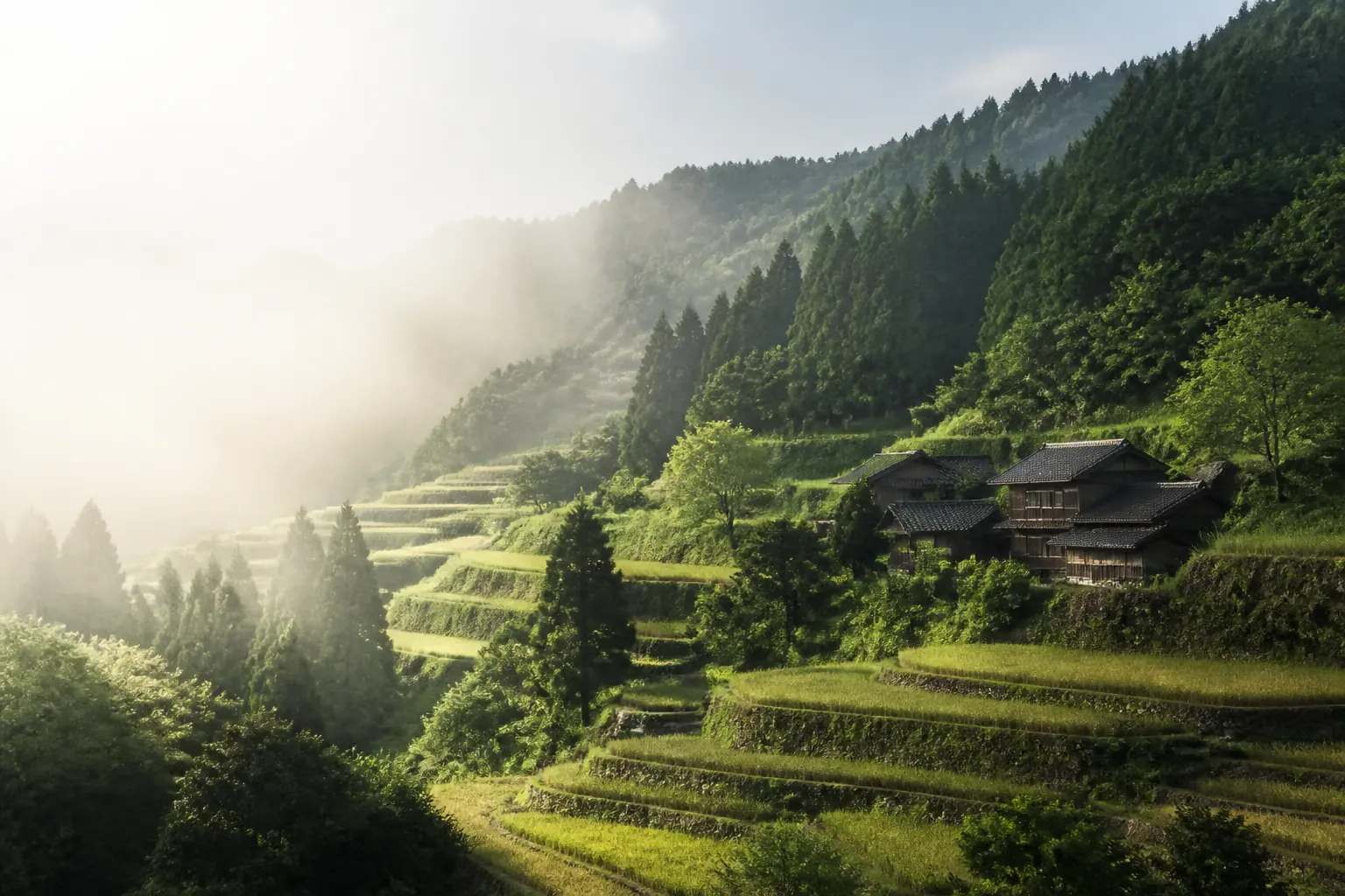 和心村の里山イメージ